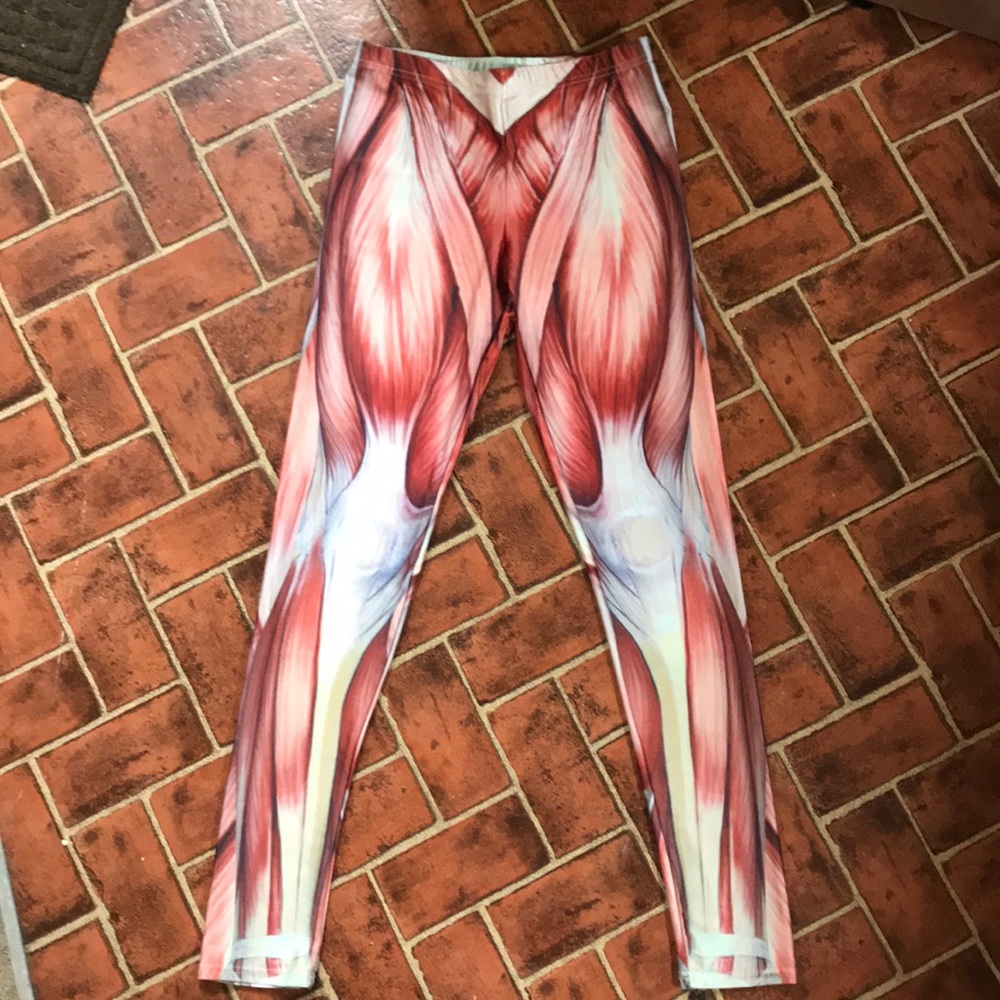 Anatomy leggings RARE***NWOT
